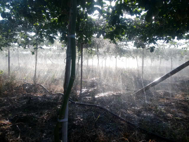 江西节水微喷带成本,微喷带