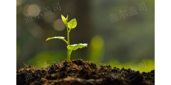 内蒙古功能性生物菌肥厂家供应,生物菌肥